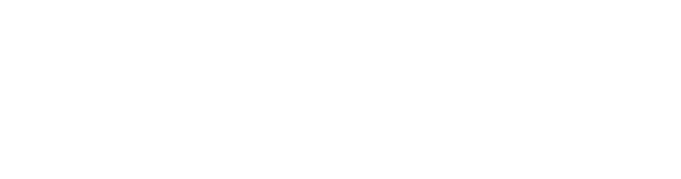 The Relationship Initiative